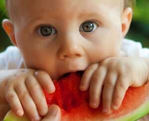 Formation Micronutrition périnatale - l'enfant