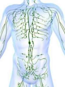 Système et drainage lymphatique | Kiné Formations