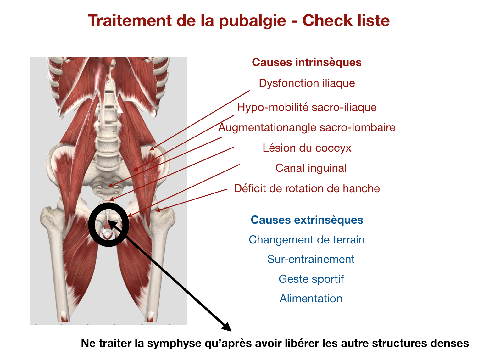 Pubalgie : proposition de traitement - Kiné Formations