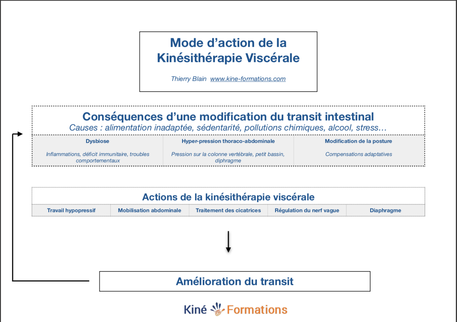 Kinésithérapie viscérale