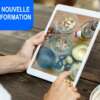 Les graisses dans l’alimentation