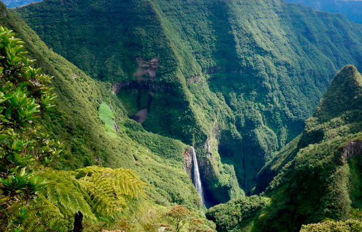 Réunion5