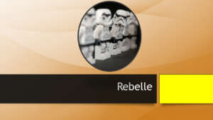 profil « REBELLE »