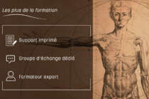 Anatomie clinique
