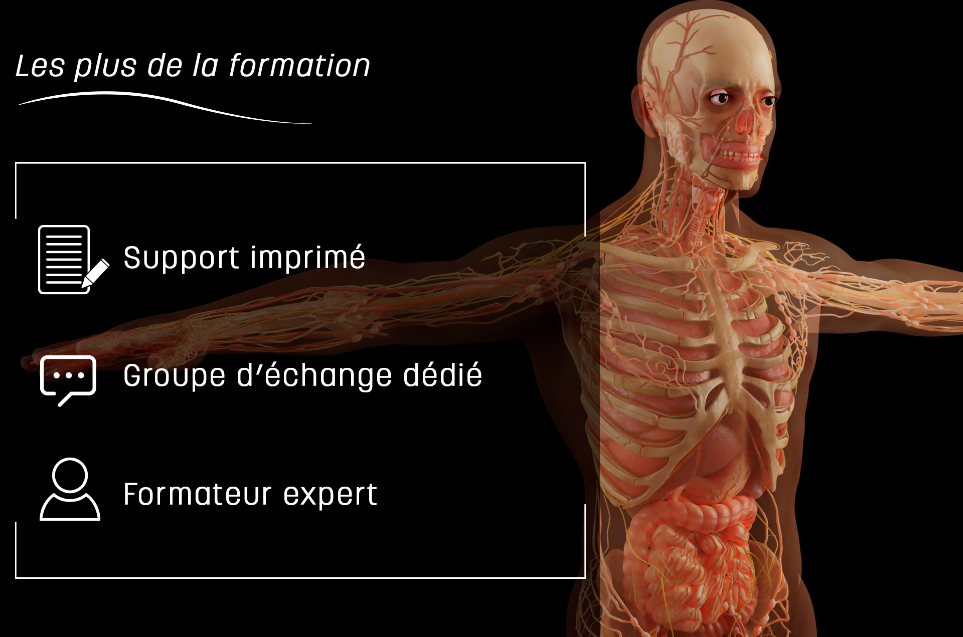 Formation anatomie et physiologie du corps humain : Cours d'anatomie